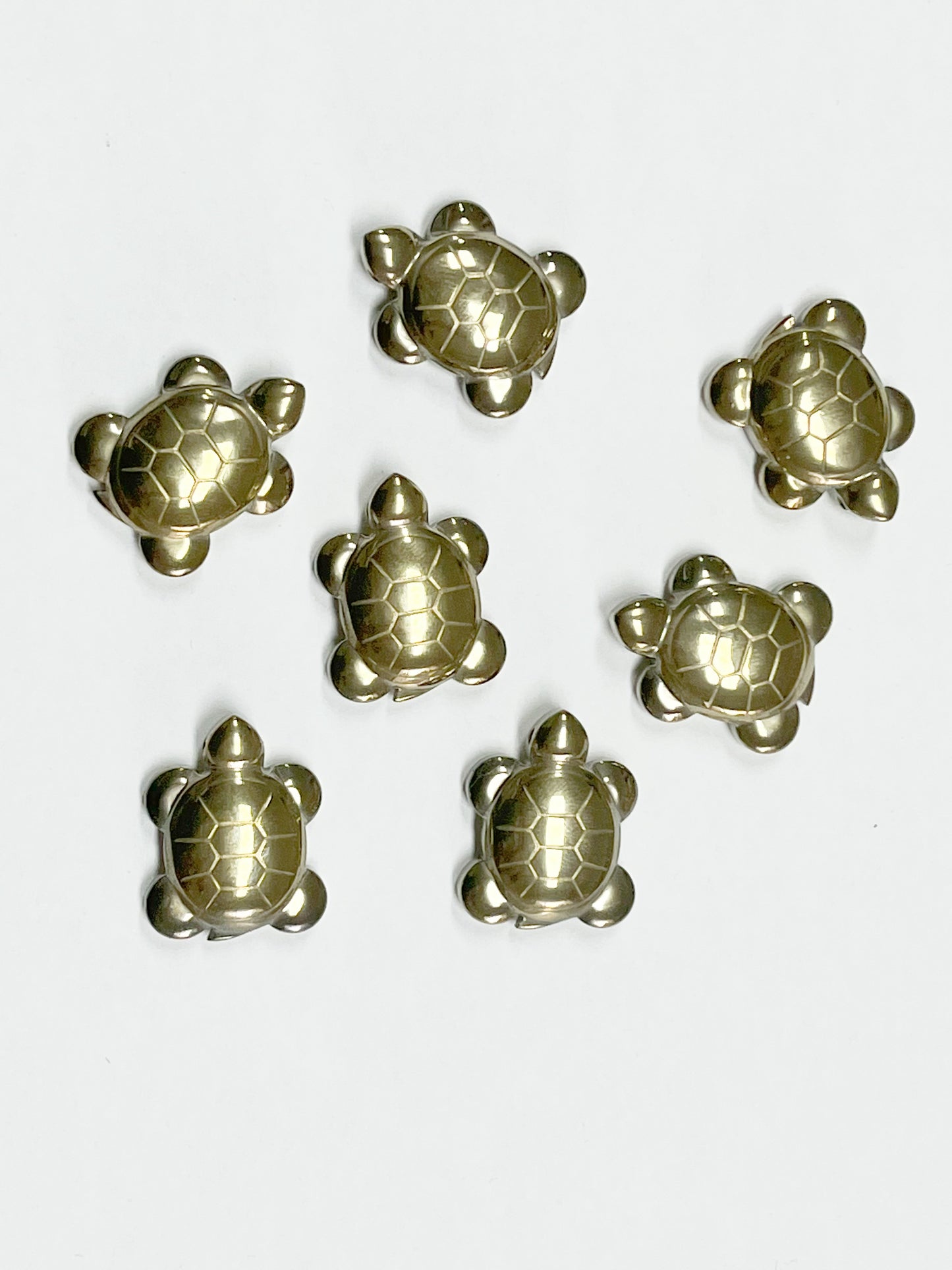 Pyrite Turtle