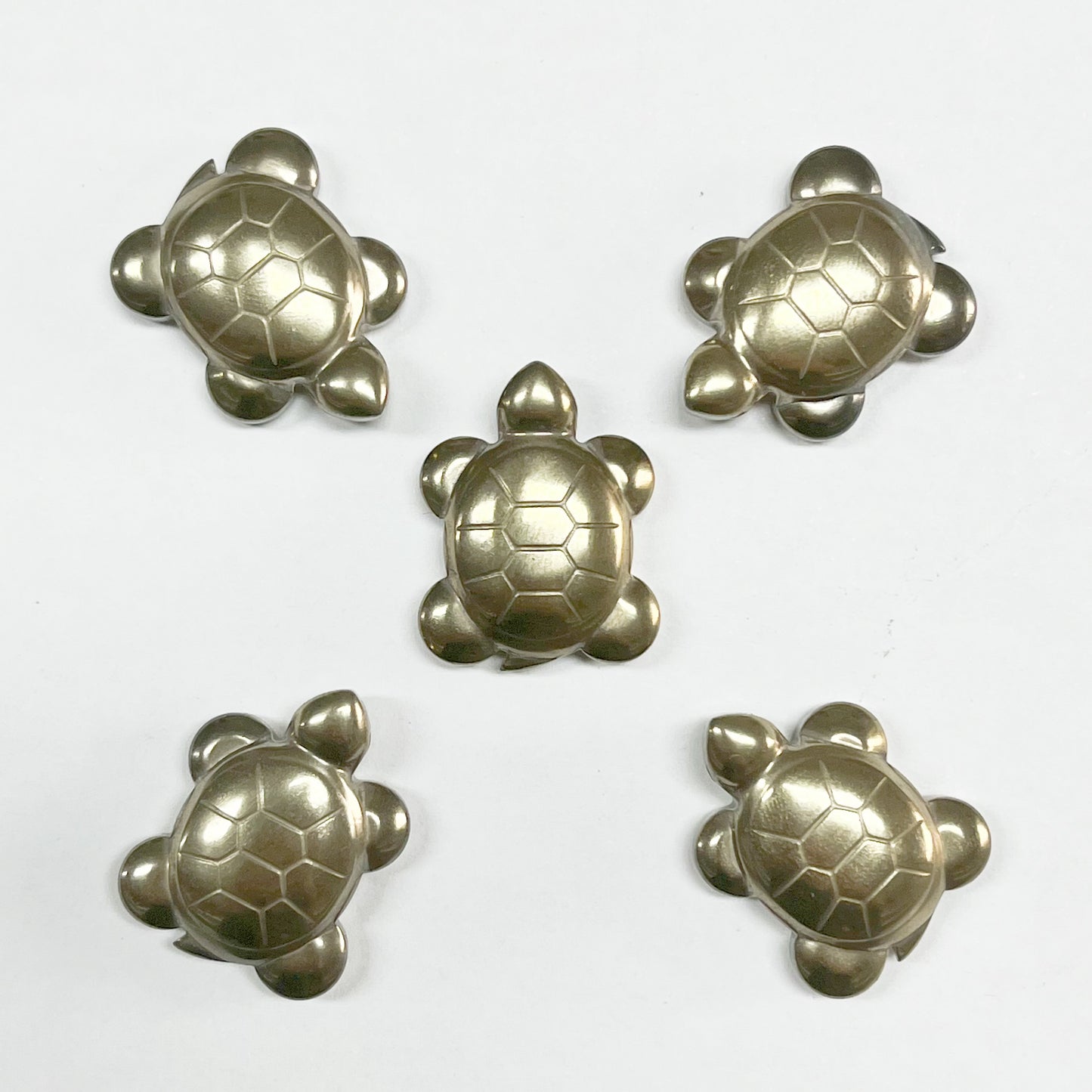 Pyrite Turtle