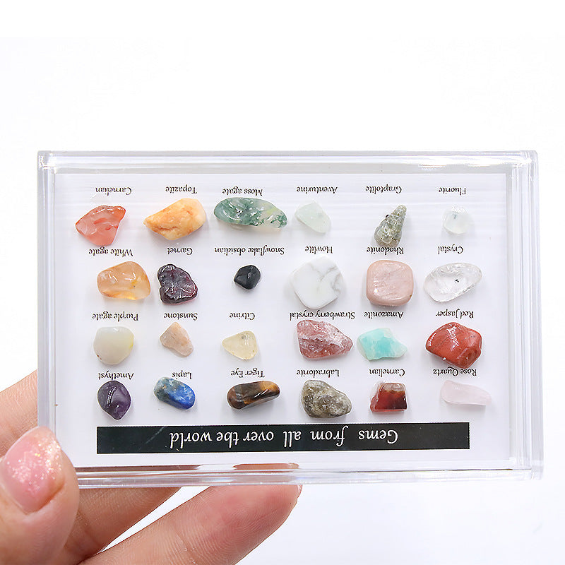 24 Mineral Ore Specimens Gemstone Box