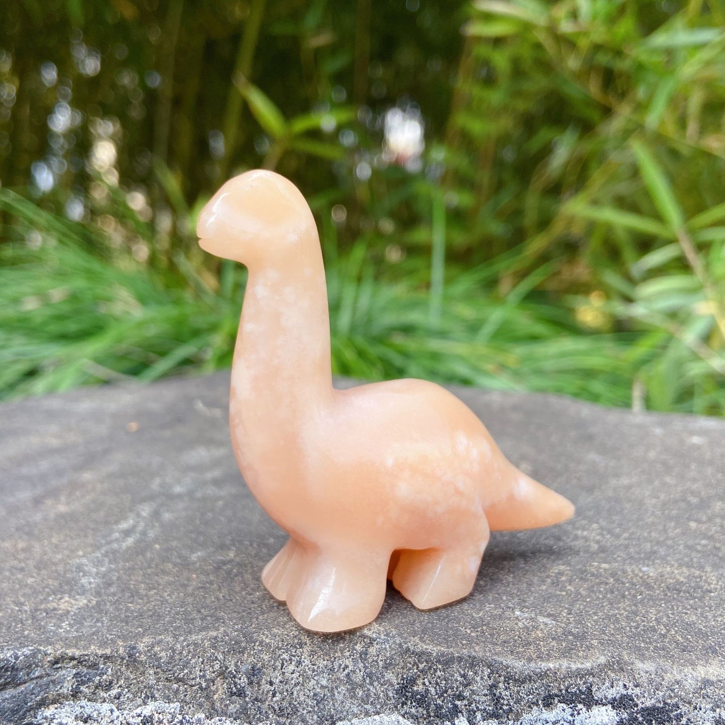 2.5 Inch Dinosaur