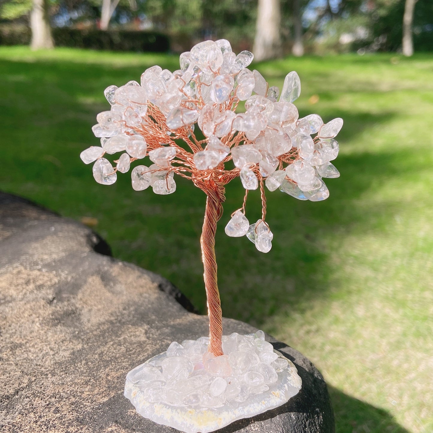 Agate Slice&Crystal Chip Money Tree