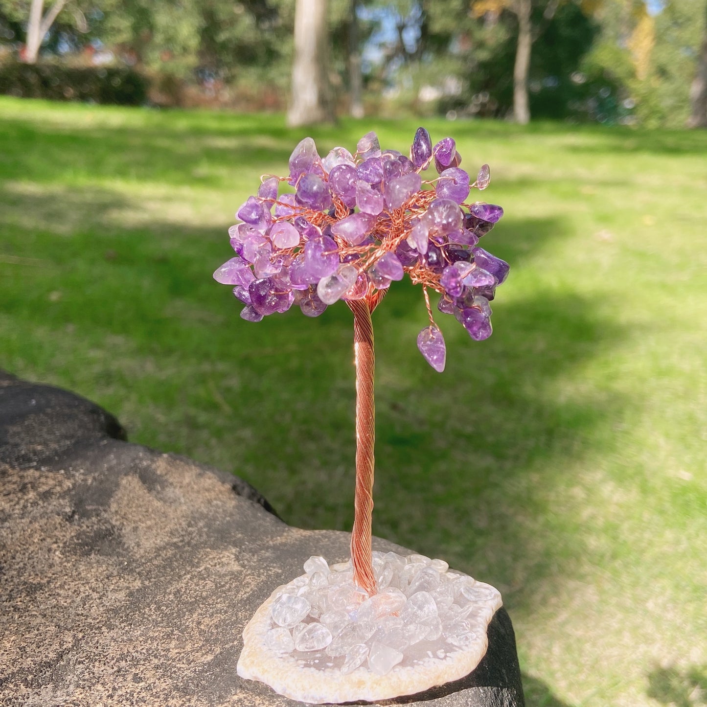 Agate Slice&Crystal Chip Money Tree